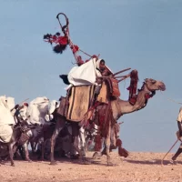 La_Trilogie_de_la_vie_08 La_Trilogie_de_la_vie_08