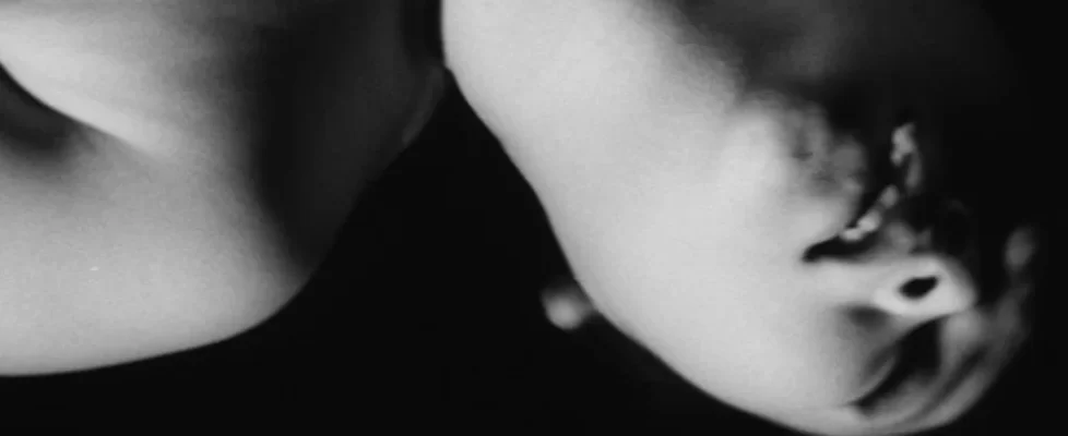 Coffre-5_Pink_Films_illustration