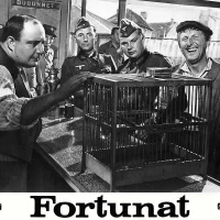 Fortunat_01 Fortunat_01
