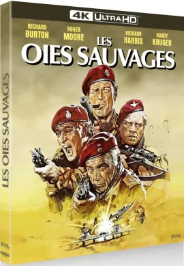 Les_oies_sauvages_UHD Les_oies_sauvages_UHD