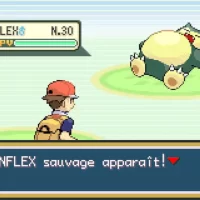 Pokemon_RougeFeu_VertFeuille_01