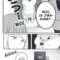 Shiba_Inu_Rooms_T1_02 Shiba_Inu_Rooms_T1_02