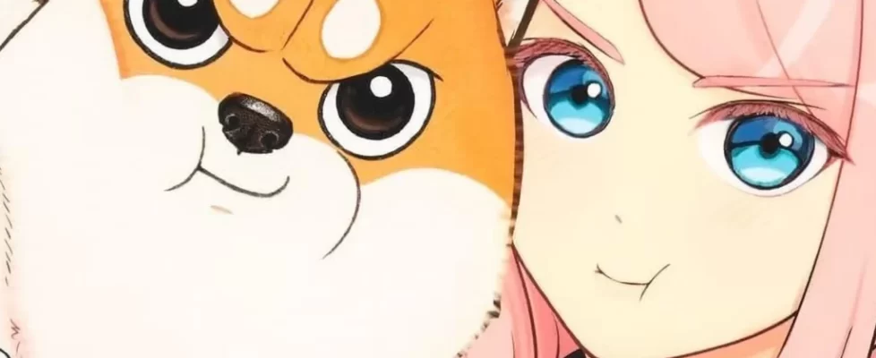 Shiba_Inu_Rooms_T1_illustration