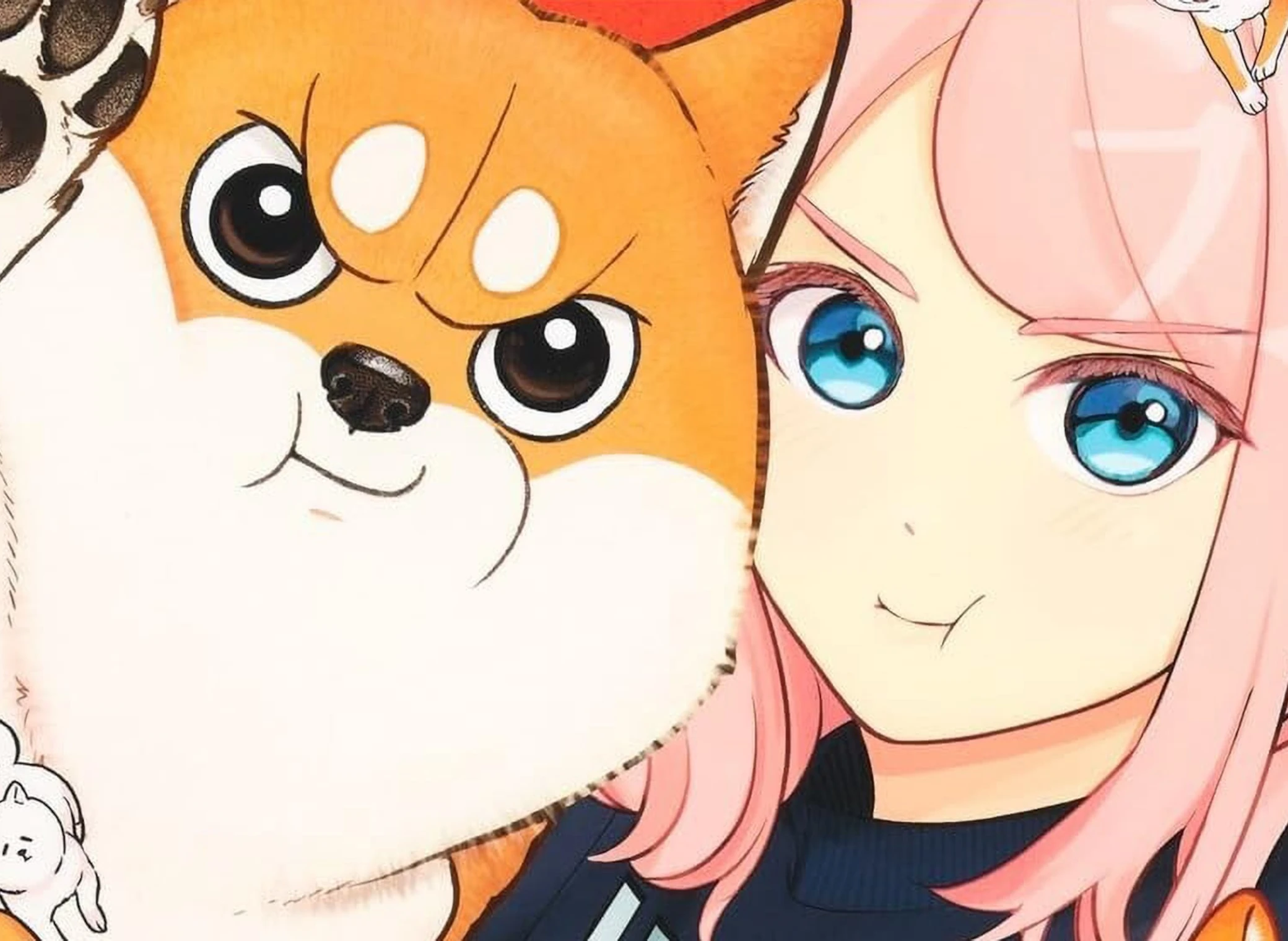 Shiba_Inu_Rooms_T1_illustration