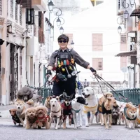 The_Shadow_s_Edge_02