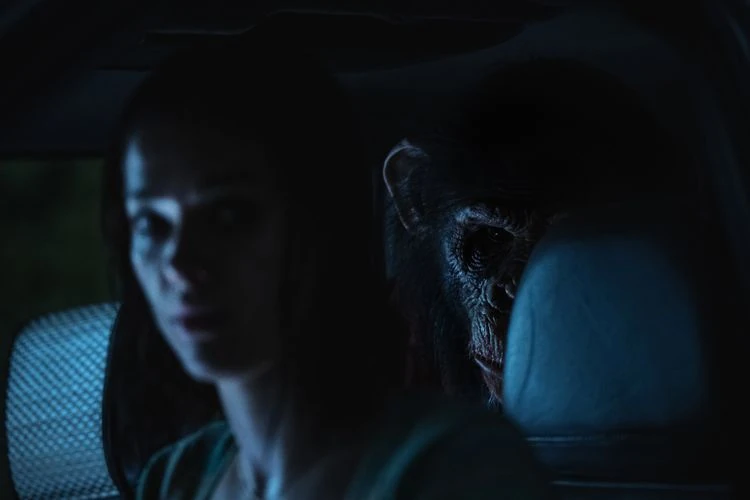 Primate_01
