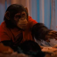 Primate_07 Primate_07