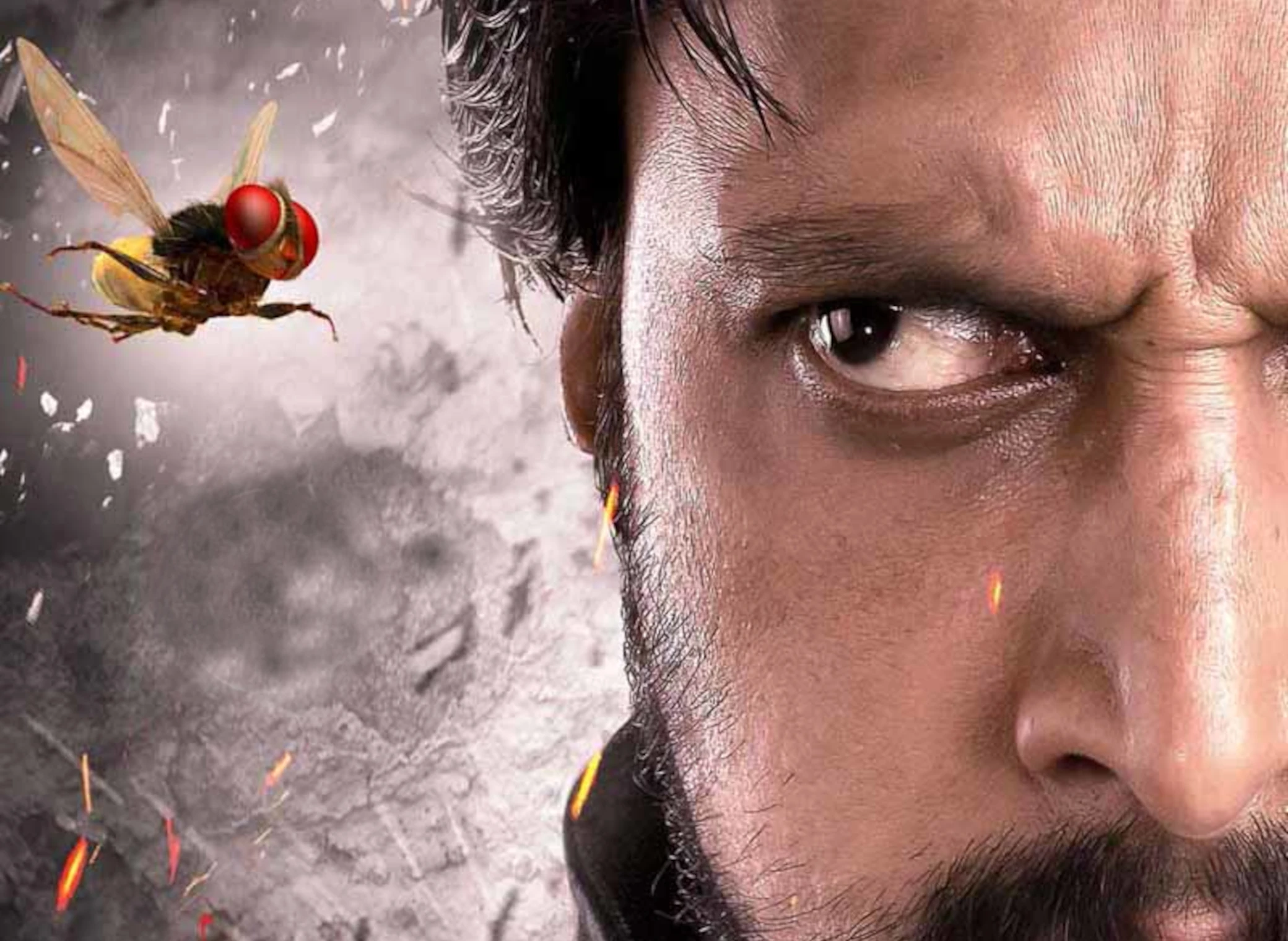 Eega_illustration