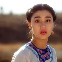La_Legende_de_Fong_Sai_Yuk_03