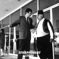 Echappement_libre_03