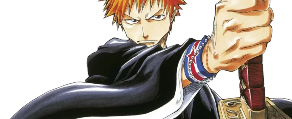 Bleach_Deluxe_T1_illustration