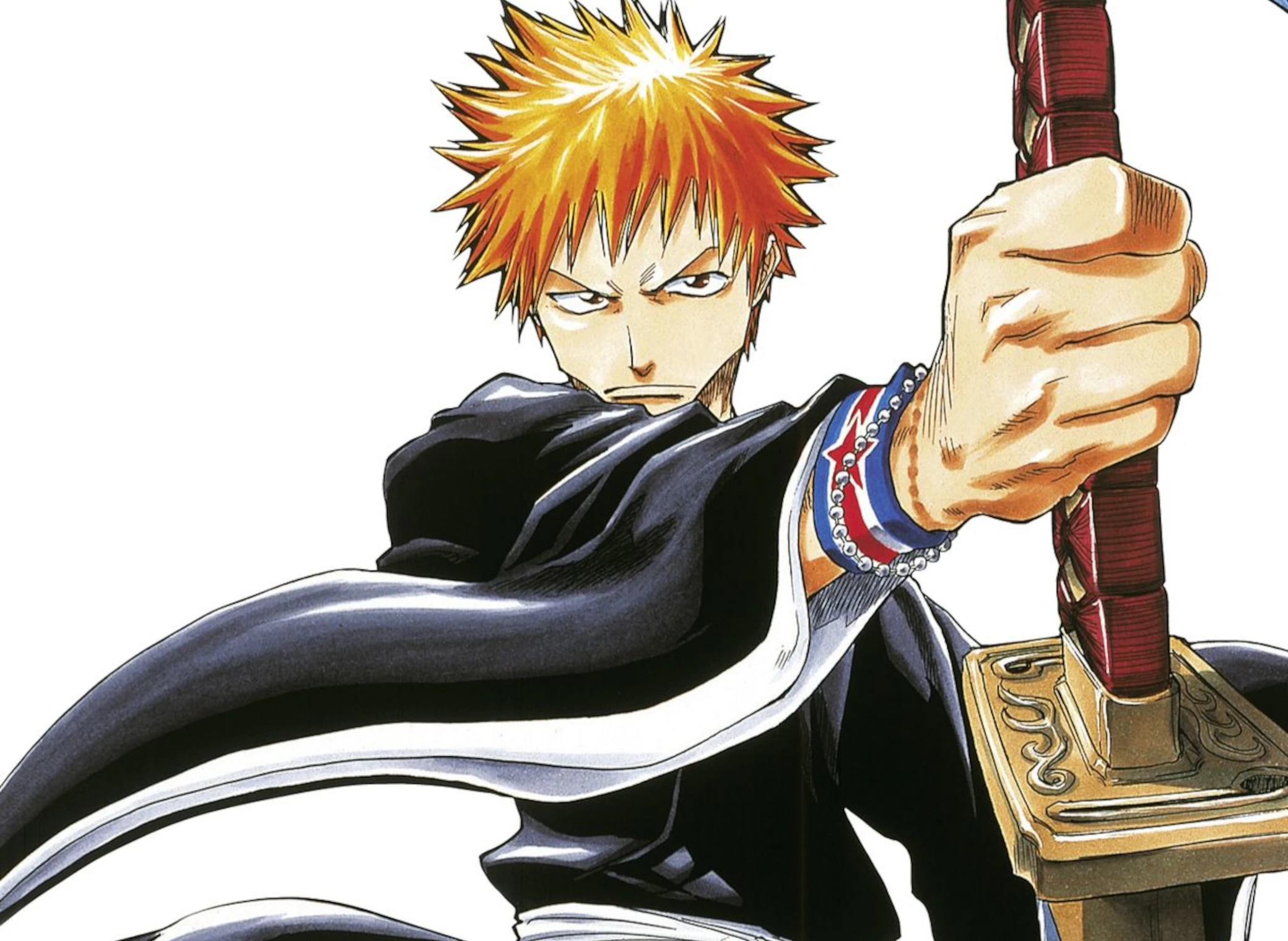 Bleach_Deluxe_T1_illustration